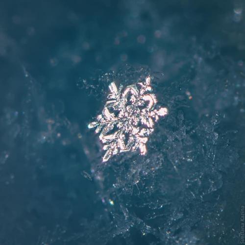 Автор: Svetlana_Kazina_Altai. 07