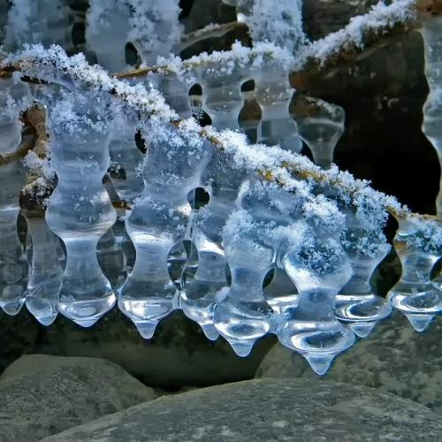 Автор: Svetlana_Kazina_Altai. 02