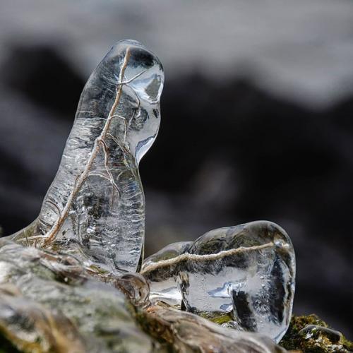 Автор: Svetlana_Kazina_Altai. 03