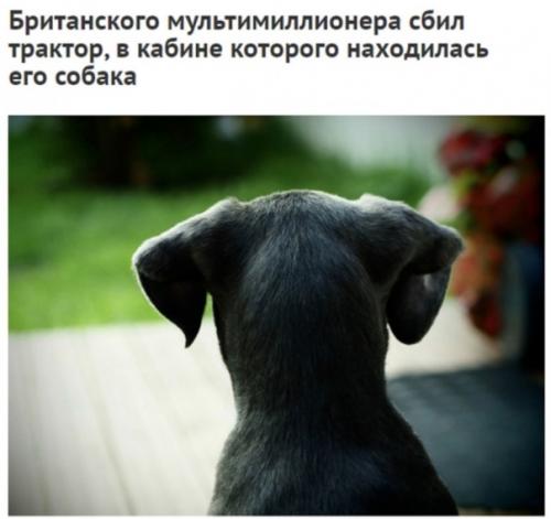 Такие новости мне нравятся. 02