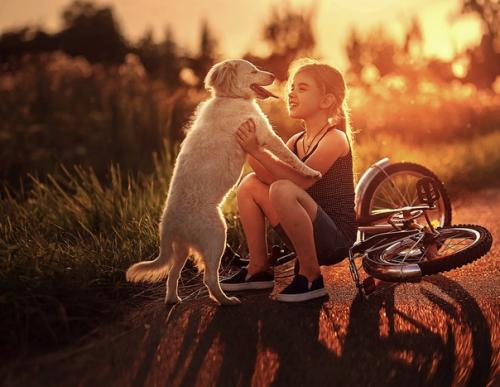 Морковно-творожный пуддинг. на 100 грамм - 99.  14 ккал Б/Ж/У - 8. 24/4. 53/6. 09