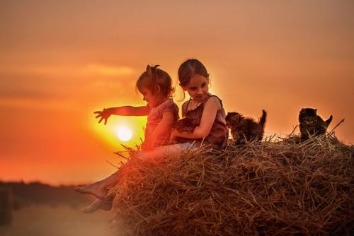 Морковно-творожный пуддинг. на 100 грамм - 99.  14 ккал Б/Ж/У - 8. 24/4. 53/6. 07