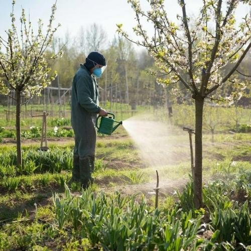 Первая обработка сада от паразитов весной: полный гайд.

