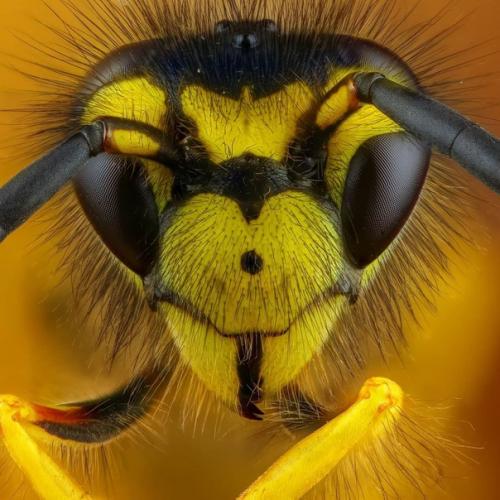 Словно инопланетные пришельцы из фантастических фильмов! 08