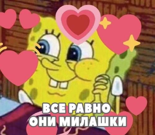 Люди добрые, если у вас возникло желание завести мейн куна, то вы должны знать, что такие коты как лотерея. 03