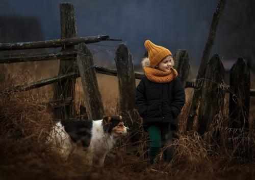 Морковно-творожный пуддинг. на 100 грамм - 99.  14 ккал Б/Ж/У - 8. 24/4. 53/6. 02