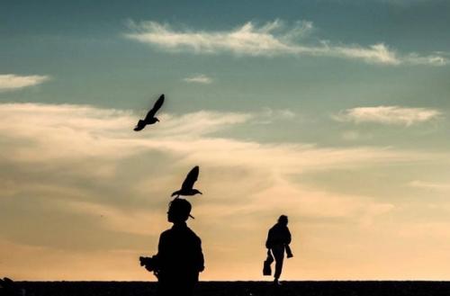 Серия силуэтных пляжных снимков фотографа Sandra Cattaneo Adorno транспортирует зрителя в мир спокойствия и красоты момента. 07