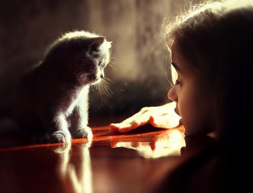 Морковно-творожный пуддинг. на 100 грамм - 99.  14 ккал Б/Ж/У - 8. 24/4. 53/6. 05