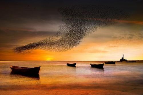 Как снимать закат - советы для создания потрясающих фотографий. 04