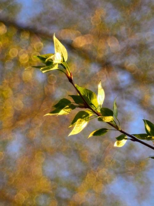 Olympus OM - D E-M1 Mark II. 02 Olympus OM - D E-M1 Mark II. 02