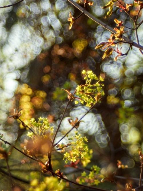 Olympus OM - D E-M1 Mark II. 05 Olympus OM - D E-M1 Mark II. 05