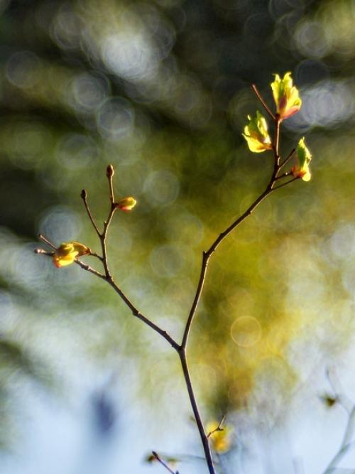 Olympus OM - D E-M1 Mark II. 04 Olympus OM - D E-M1 Mark II. 04