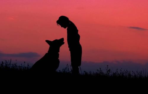 Как снимать закат - советы для создания потрясающих фотографий. 05