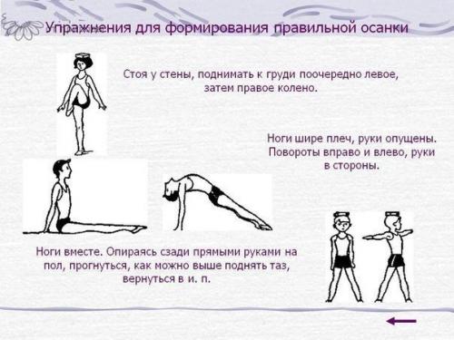 Упражнения от сутулости - красивая осанка у взрослых и детей. 05