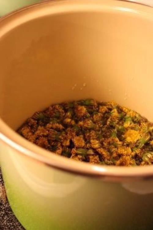 Варенье (мед) из одуванчиков. 02