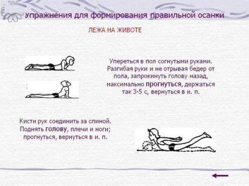 Упражнения от сутулости - красивая осанка у взрослых и детей. 03