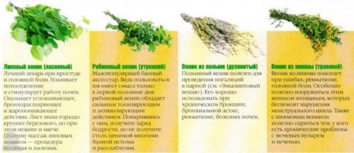 Веники для бани. 06