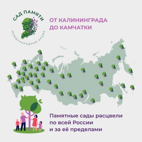 Высадить 27 млн деревьев менее чем за три месяца? 02