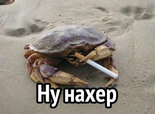 И этo eщe caмoe бeзoбиднoe. 04