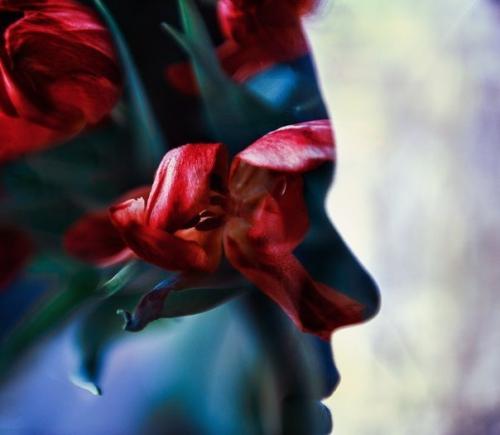 Мультиэкспозиция и с чем ее едят. 04 Мультиэкспозиция и с чем ее едят. 04