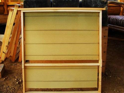 Держать пчёл или водить. 06