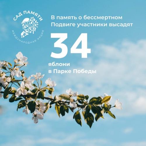 Высадить 27 млн деревьев менее чем за три месяца? 06