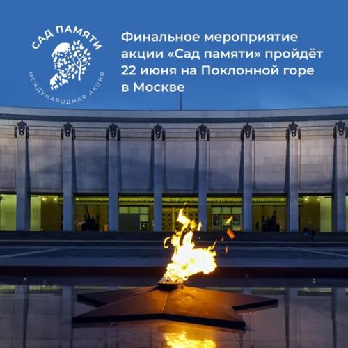 Высадить 27 млн деревьев менее чем за три месяца? 05