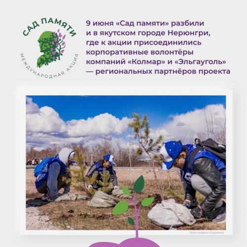 Высадить 27 млн деревьев менее чем за три месяца? 04