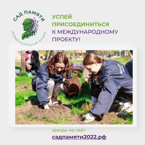 Высадить 27 млн деревьев менее чем за три месяца? 07