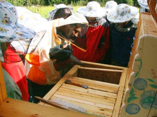 Держать пчёл или водить. 05