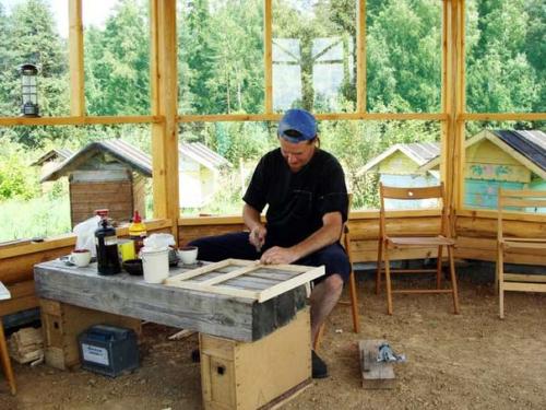 Держать пчёл или водить. 03