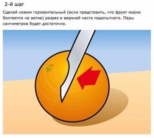 Самый простой способ апельсин очистить. 01