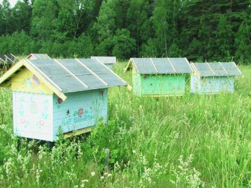 Держать пчёл или водить. 01