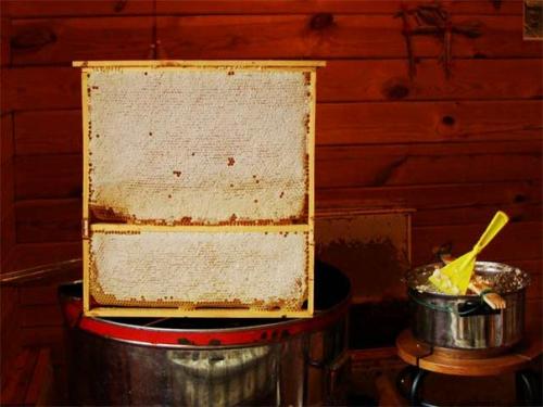 Держать пчёл или водить. 09