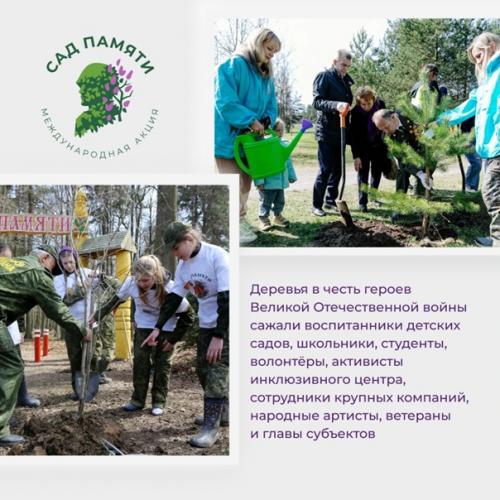 Высадить 27 млн деревьев менее чем за три месяца? 03