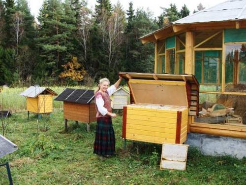 Держать пчёл или водить. 07