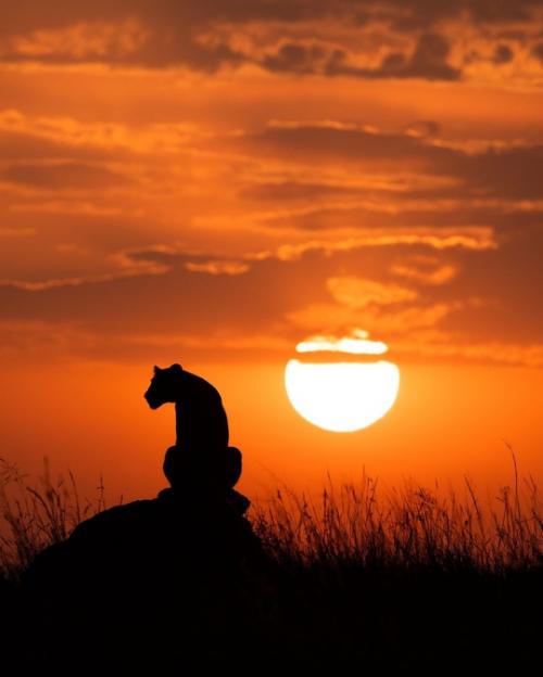 Один из самых волшебных африканских закатов, которые я когда-либо видел. 03