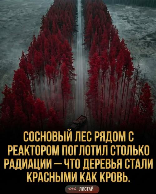 Чернобыльская катастрофа скрывала множество деталей, о которых не пишут в учебниках. 03