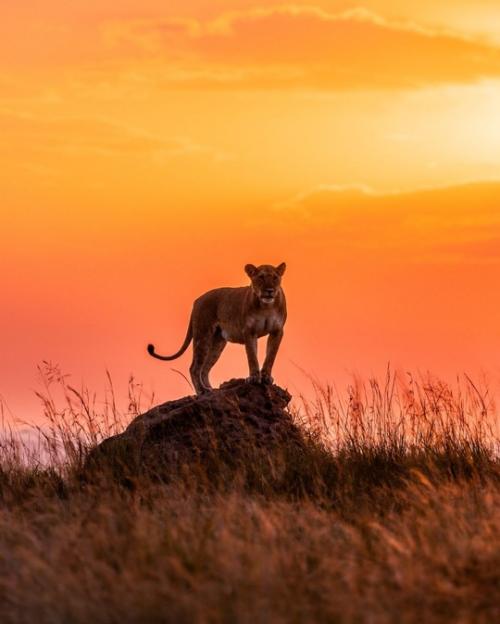 Один из самых волшебных африканских закатов, которые я когда-либо видел. 02