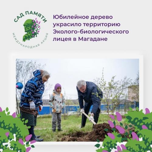 Высадить 27 млн деревьев менее чем за три месяца? 01