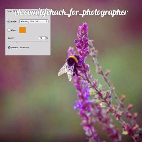 Урок фотошопа.  Вариация на тему эффекта под Пленку. 02