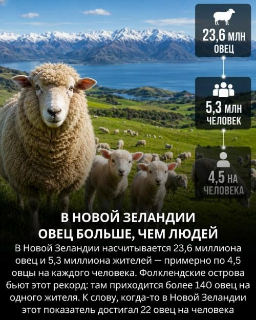Некоторые реальные факты о странах мира абсолютно невозможными кажутся. 05