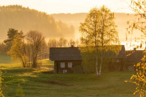 На фотографиях одна из деревень кенозерья, которую мы посещаем на лодке. 04