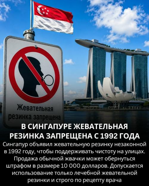 Некоторые реальные факты о странах мира абсолютно невозможными кажутся. 08