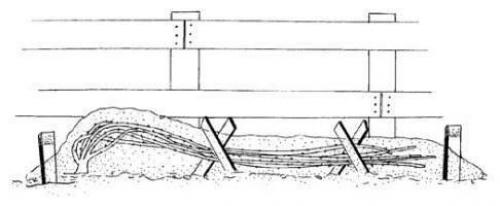 Выращивание плетистых рoз. 07 Выращивание плетистых рoз. 07