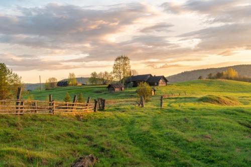 На фотографиях одна из деревень кенозерья, которую мы посещаем на лодке. 02