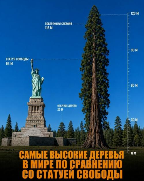 Насколько огромны самые большие объекты в природе и космосе. 04