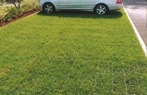 Парковка на ДАЧЕ. Какой материал для основания выбрать. 01 Парковка на ДАЧЕ. Какой материал для основания выбрать. 01