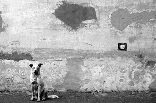 Геометрия стрит - фотографии. 05