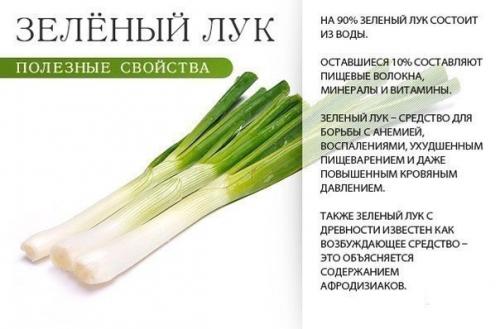 Топ - 9 самых полезных пряных трав. 07